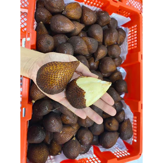 สละอินโดแท้ นำเข้า (1kg)หวานกรอบ ปอกง่ายไม่มีหนาม พร้อมส่ง