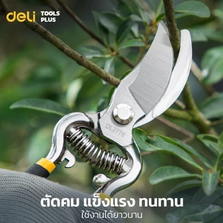 Deli กรรไกรตัดกิ่งไม้ กรรไกรตัดกิ่ง กรรไกรทำสวน 8 นิ้ว ใบมีดคม มีสปริงคืนตัว ทนทาน Pruning Shears