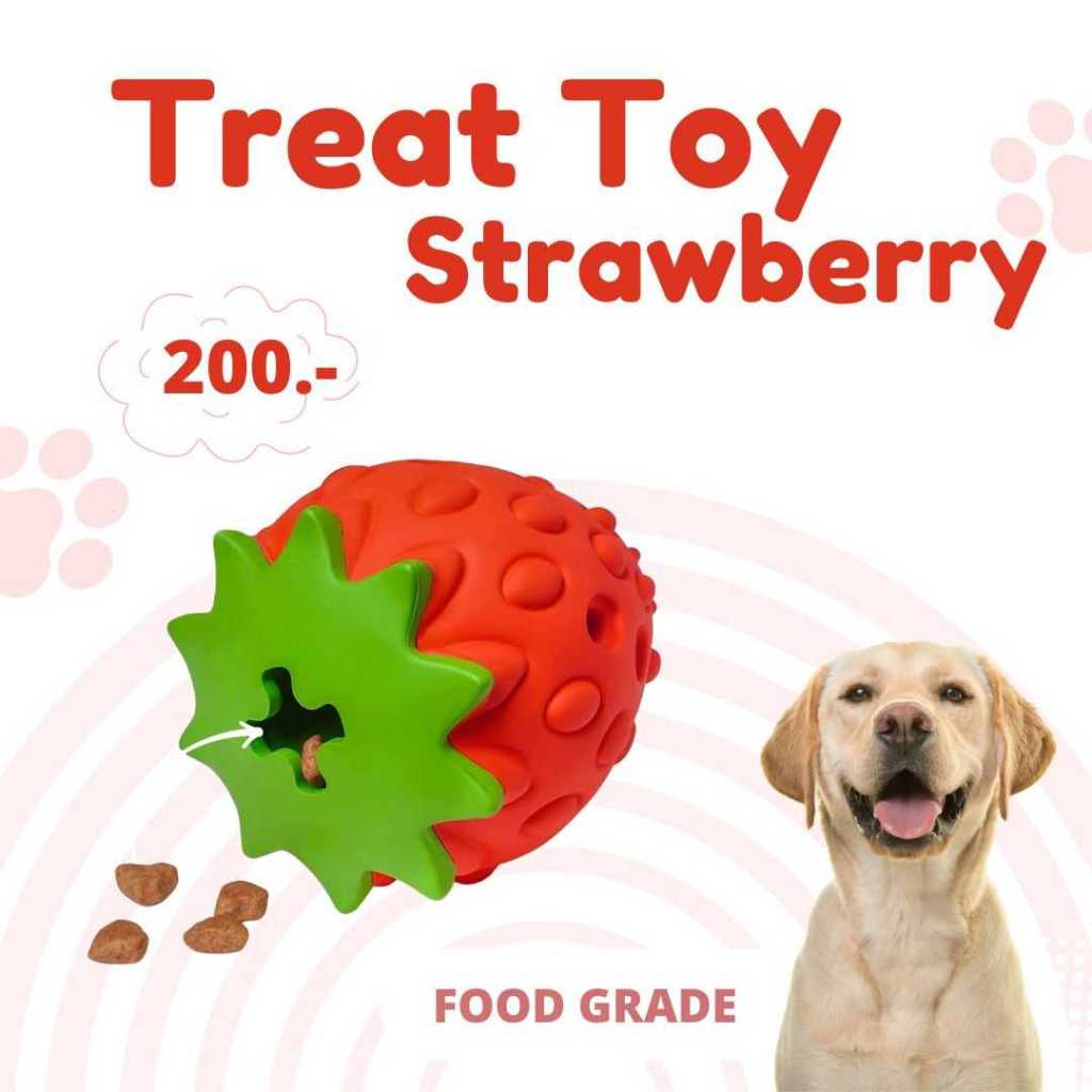 Treat Toy ของเล่นสุนัขกลิ่นสตอเบอร์รี่ สินค้านำเข้าโดยร้าน Goodie Dogs