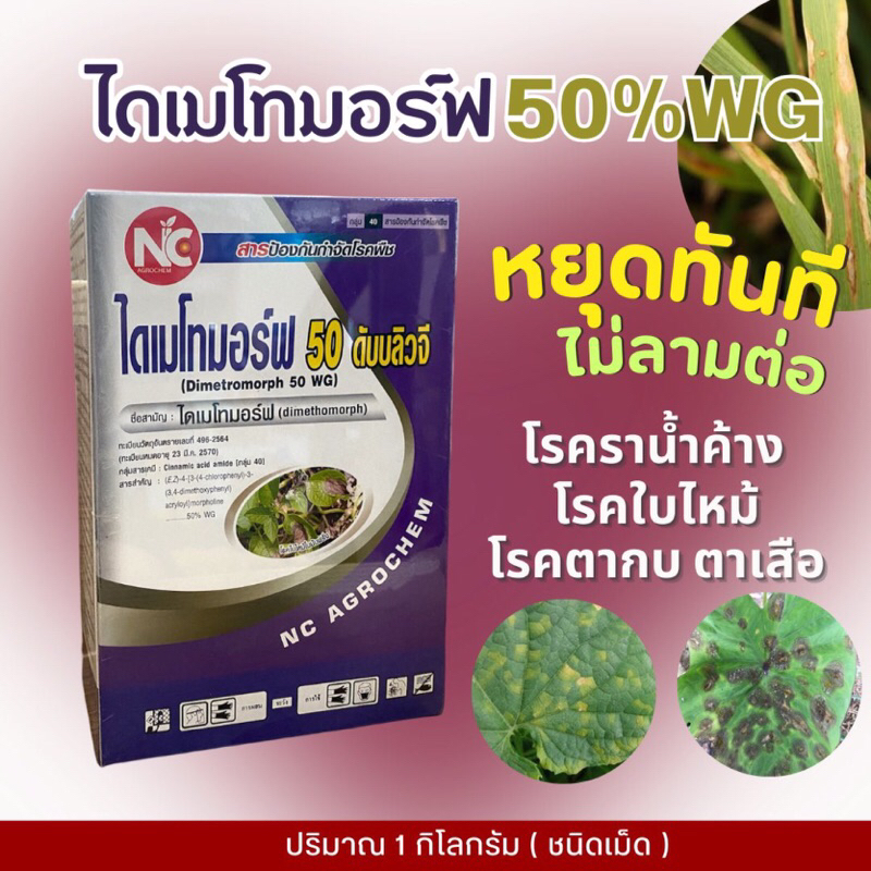ไดเมโทมอร์ฟ 50 ดับบลิวจี สารป้องกันกำจัดโรคพืช -1 กิโลกรัม ราคา ถูกที่สุด ดีลบีเคเค