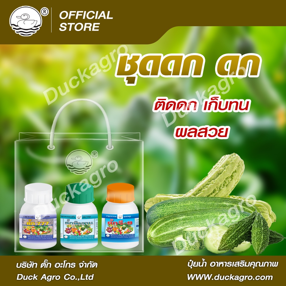 ปุ๋ยน้ำ ชุดดก ดก ตราเป็ด (ดั๊ก777 + ดั๊กพิงอาน + ดั๊กจี-9 ขนาด 250 ซีซี) ใช้ช่วงระยะเริ่มติดดอก ทำให้ติดดก เก็บทน ผลสวย