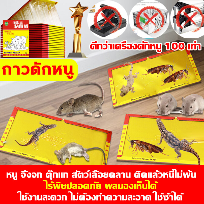 หนูสัมผัสแล้วก็หนีไม่พ้น กาวดักหนู พร้อมถาด กระดาษใหญ่ขึ้นหนาขึ้นเหนียวขึ้นหนีไม่ได้ แผ่นกาวดักหนูสำเร็จรูป กาวดักหนูแผ่ - รูปที่ 2