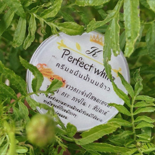 ครีมขมิ้นน้ำนมข้าว 1เซ็ต5ตลับ (10g)