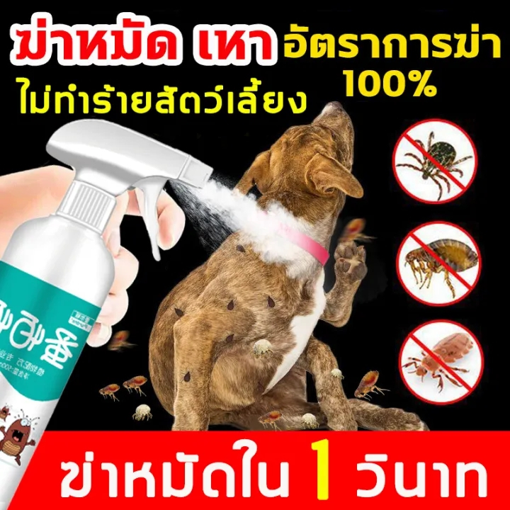JASMEEN🔥ยากําจัดเห็บหมัดสุนัข🔥ยาฆ่าเห็บหมัด ยาฆ่าหมัดหมา ยากำจัดเห็บหมัด หมา 500ml ไม่ทำร้ายสัตว์เลี้ยง