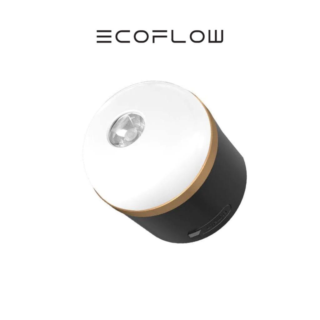 (สินค้าสมนาคุณ) ECOFLOW CAMPING LIGHT