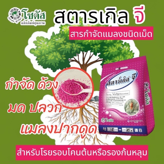 สตาร์เกิลจี ขนาด 1กก. ไดโนทีฟูแรน 1% GR.ใช้รองก้นหลุมก่อนปลูก ป้องกันแมลงใต้ดินทุกชนิด