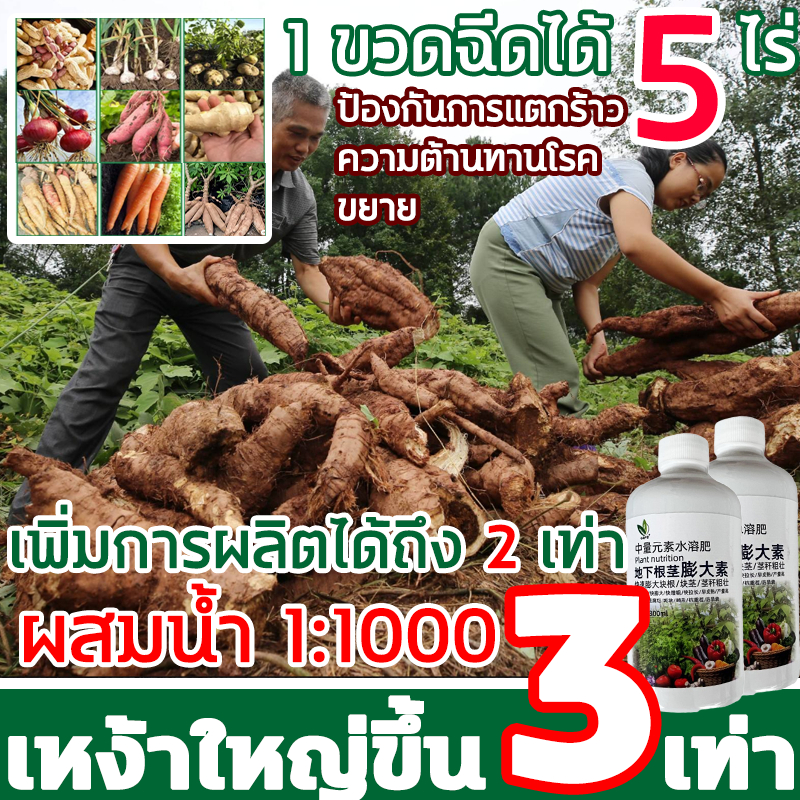 ปุ๋ยเร่งหัวมัน สามารถพ่นพื้นที่ได้ครั้งละห้าเอเคอร์ 300G ฮอร์โมนมันสำปะหลัง ปุ๋ยมันสำปะลัง ปุ๋ยทางใบมันสำปะหลัง