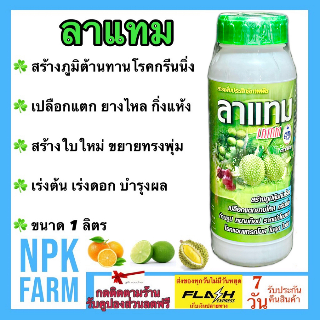 ลาแทม ขนาด 1 ลิตร เอนไซม์พืช สร้างภูมิต้านทาน โรคเปลือกแตก ยางไหล ไฟท็อปเทอร่า กรีนนิ่ง สร้างใบใหม่
