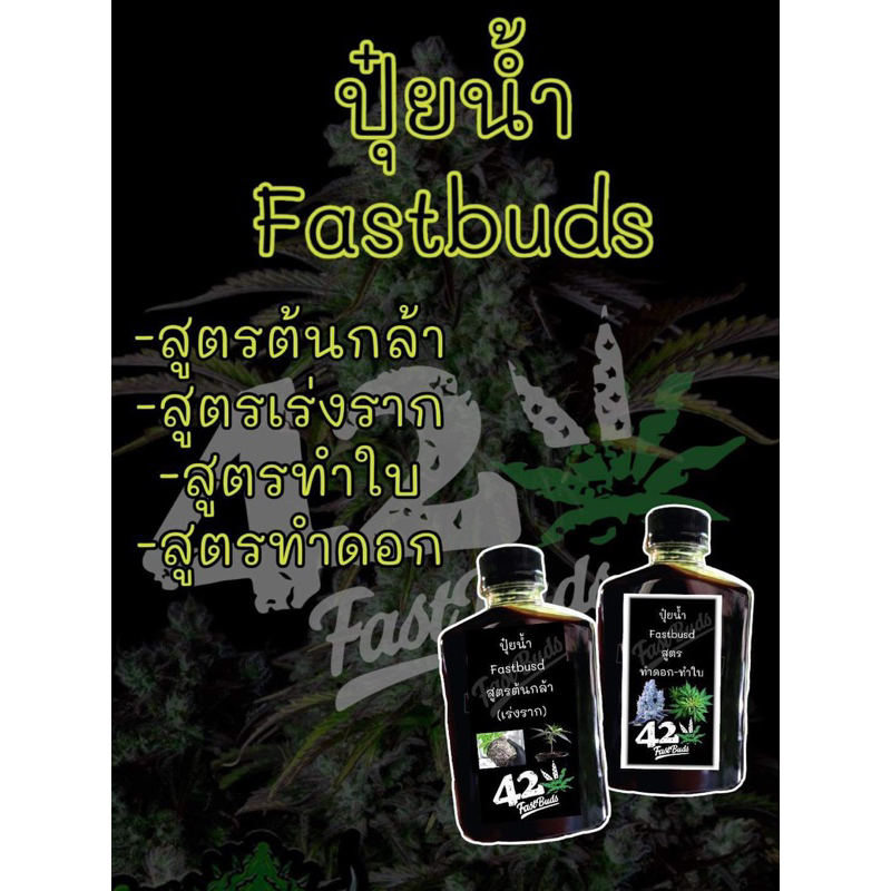 ปุ๋ยน้ำฮอร์โมน กัชชาสูตรค่าย420 Fastbudsช่วยควบคุมเพศเมีย ไม่ทำให้ต้นกลายเป็นกระเทย เร่งราก เร่งใบ เพิ่มจำนวนดอกX3