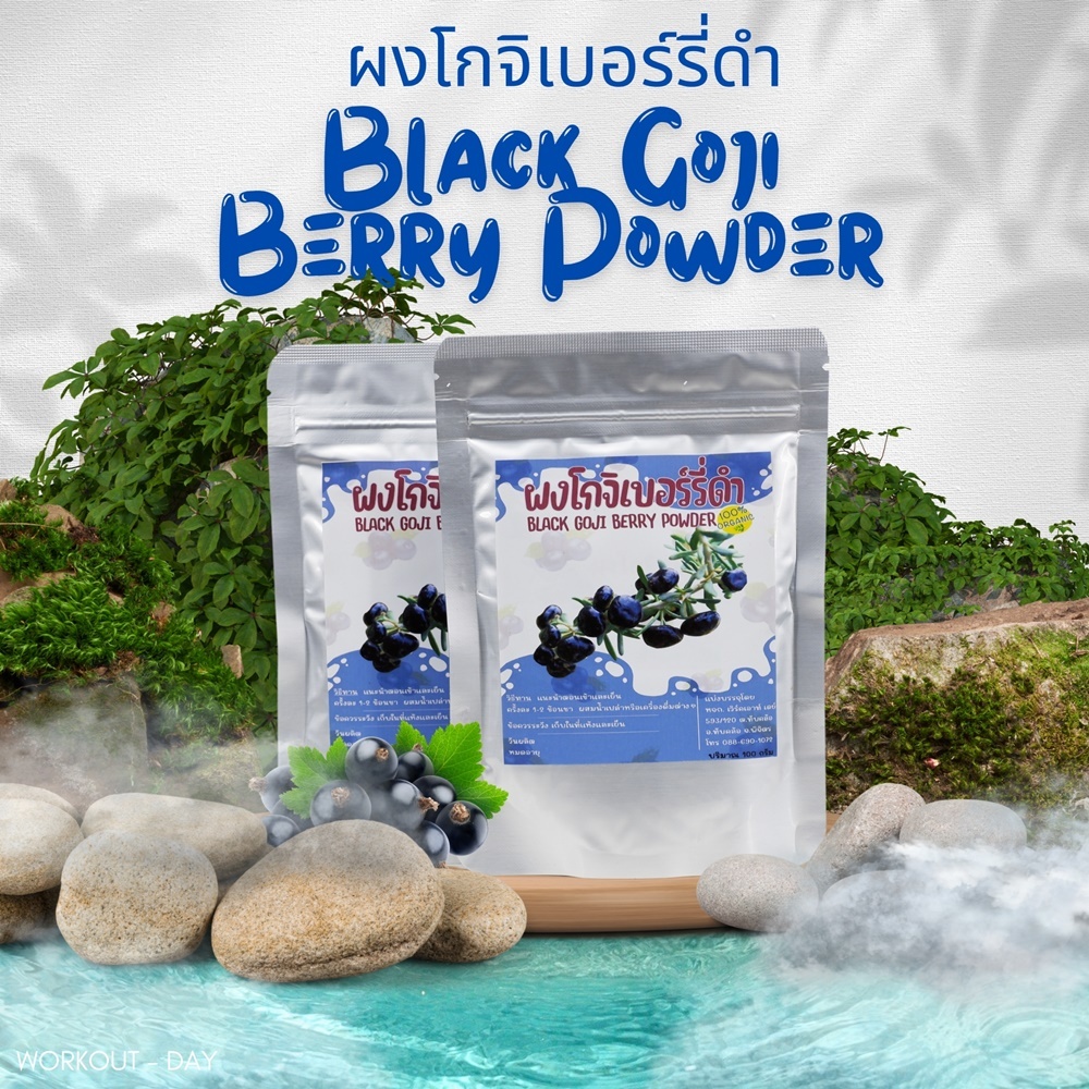 ผงโกจิเบอร์รี่ สีดำ มีอย. Black Goji Berry ขนาด100กรัม