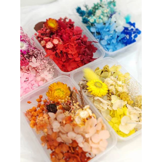 ดอกไม้อบแห้ง คละแบบ หลายชนิด(ไม่ระบุชนิดดอกไม้)