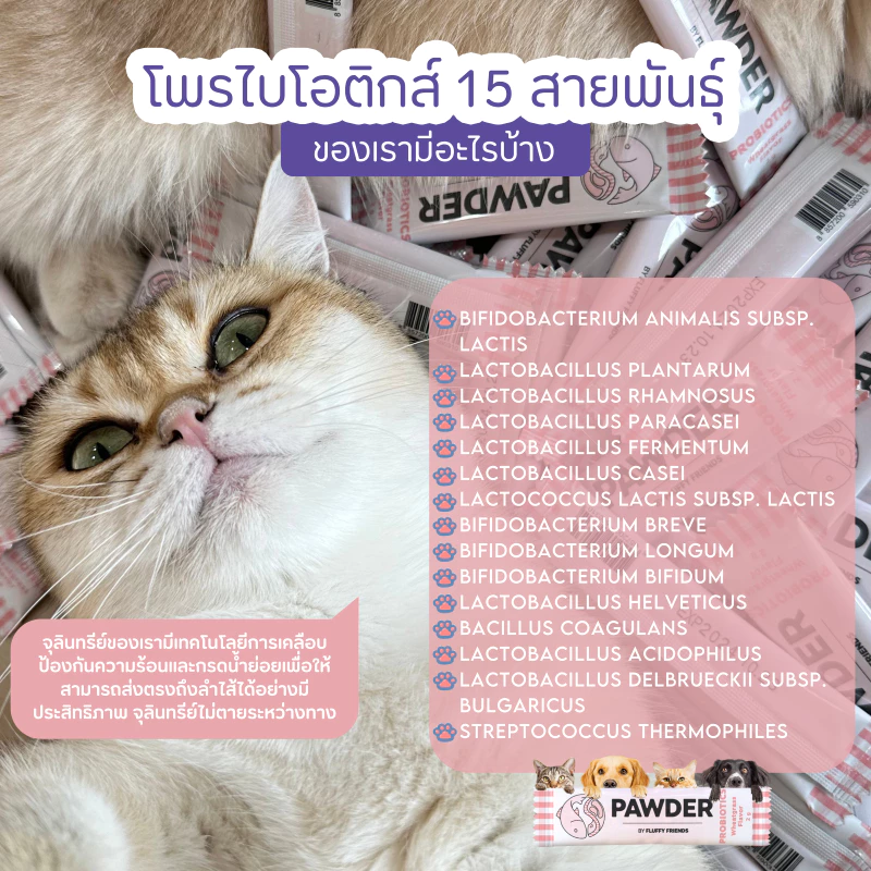 Pawder Probiotics อาหารเสริมโพรไบโอติกส์ ผสมสารสกัดต้นข้าวสาลีอ่อน สำหรับสุนัขและแมว ผลิตและนำเข้าจากไต้หวัน thumbnail 6