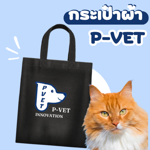 กระเป๋าผ้า P-VET Innovation
