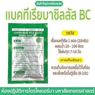 【 พร้อมส่ง 】 แบคทีเรียบาซิลลัสBC(เบอร์3)ควบคุมโรครากเน่า โคนเน่า เเคงเกอร์