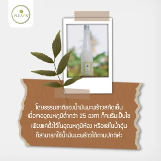 PLEARN น้ำมันมะพร้าวสกัดเย็น 100% (500 ml หัวปั้ม) ตรา Pheun Phraw (PURE EXTRA VIRGIN COCONUT OIL)