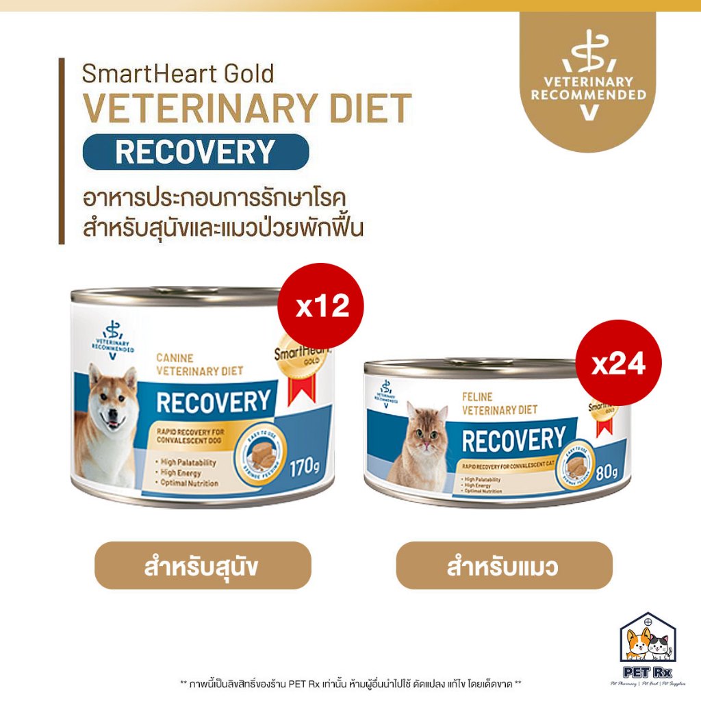 [ยกลัง!] SmartHeart Gold: Recovery อาหารประกอบการรักษาโรคสำหรับสุนัขและแมวป่วยหรือป่วยพักฟื้น หลังการรักษาหรือผ่าตัด