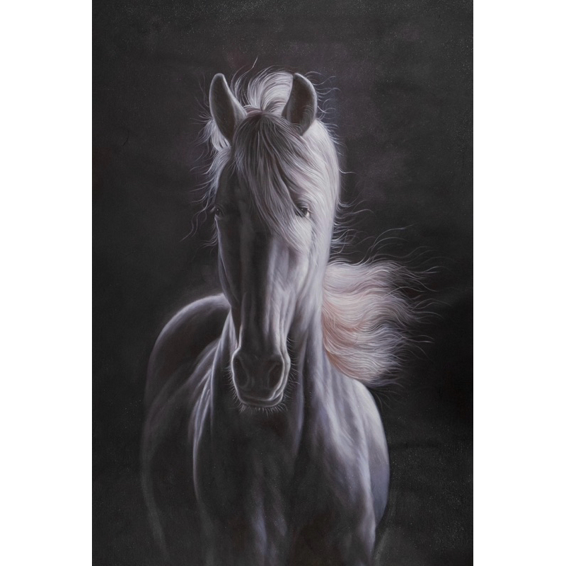 Gentle ภาพวาดสีน้ำมัน แนว portrait ม้าสีขาว ให้ความรู้สึกทรงพลัง สุขภาพดี สง่างาม ก้าวหน้า (ขนาด 60cmx90cm)