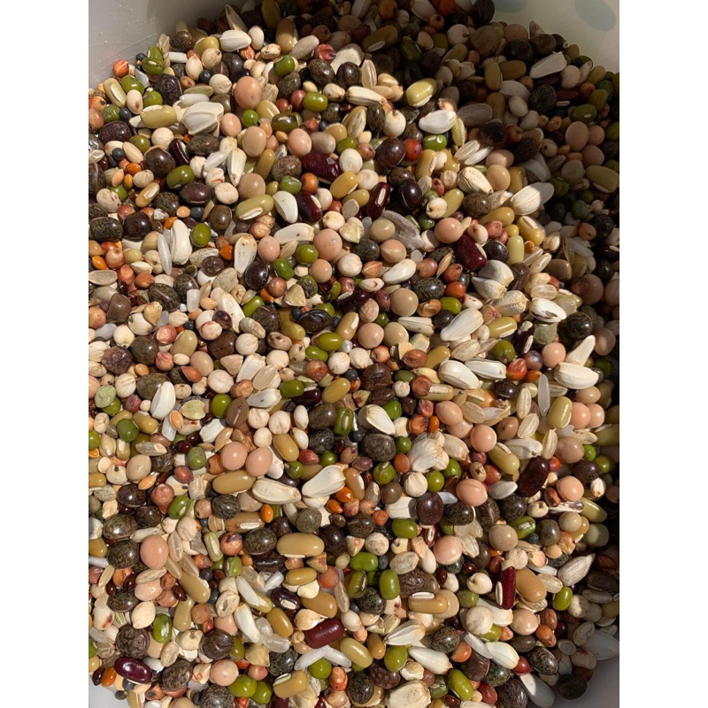 ถั่วรวม ถั่วนกพิราบ พร้อมส่งกิโลกรัมละ79บาท
