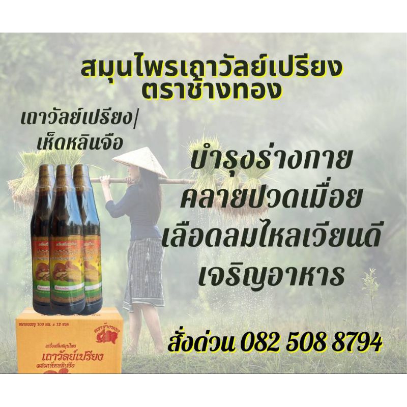 เถาวัลย์เปรียงตราช้างทอง