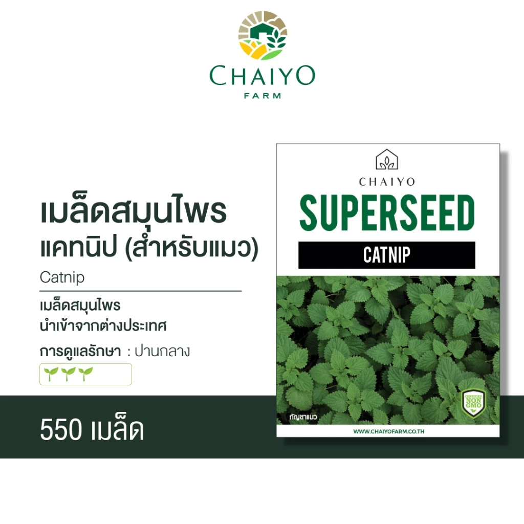 เมล็ด CATNIP เมล็ดสมุนไพรแคทนิป