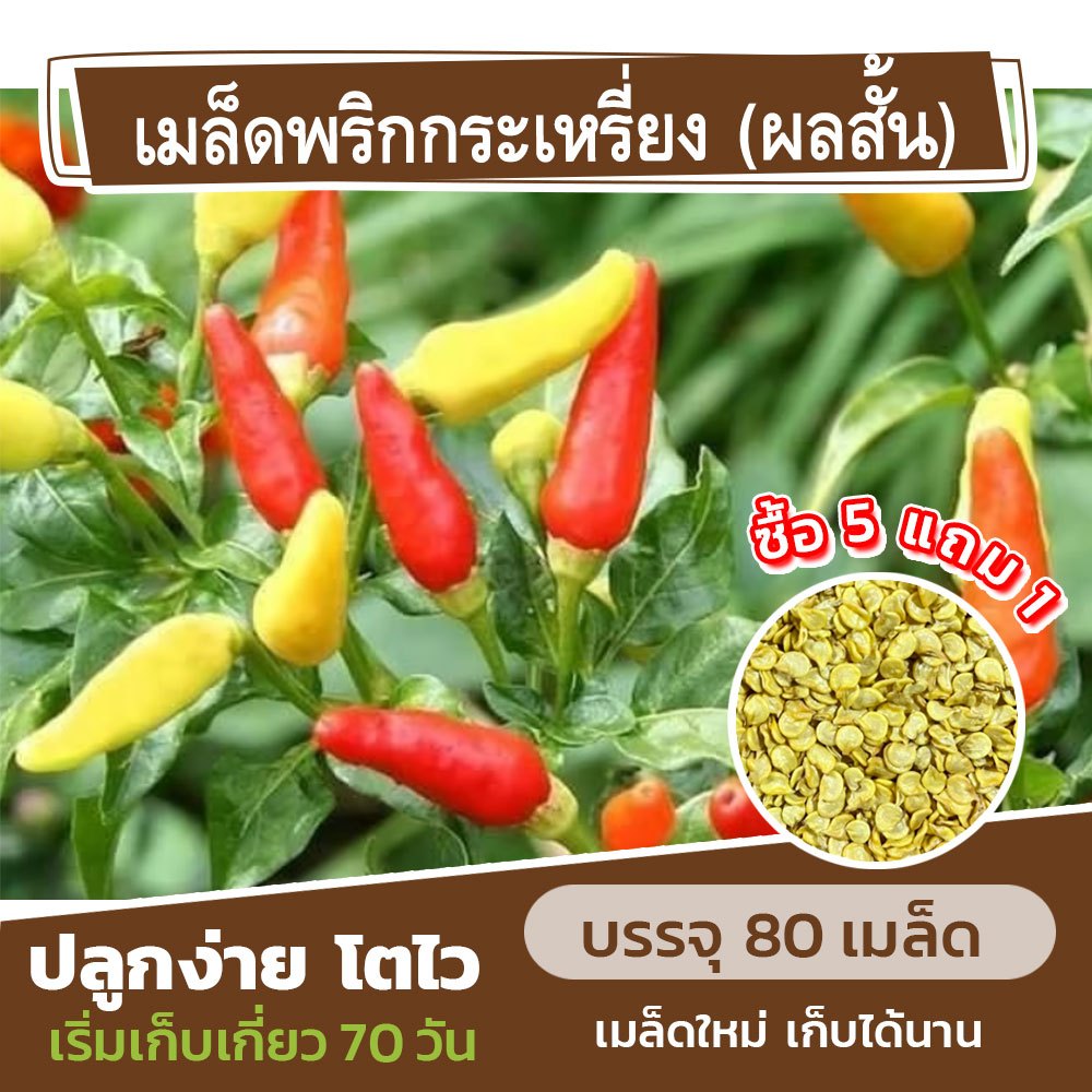 เมล็ดพันธุ์ พริกกระเหรี่ยง(ผลสั้น) แบ่งขาย 80 เมล็ด (ซื้อ 5 แถม 1) คละชนิดได้