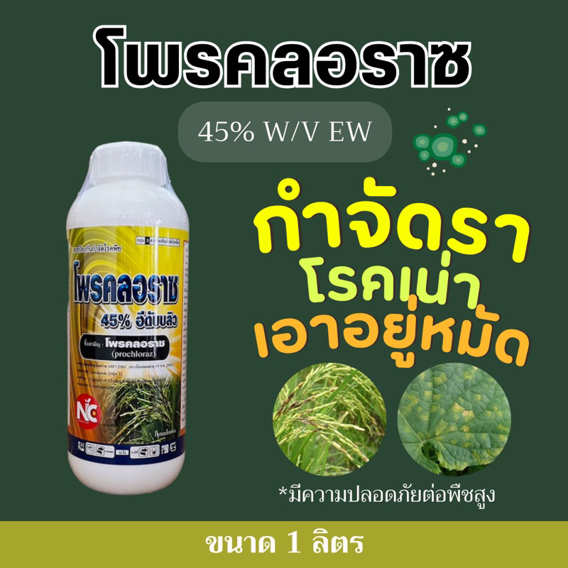 โพรคลอราช  ยาเย็น กำจัดโรค ราดำ โรคเน่า กุ้งแห้ง ในพริก แอนแทรคโนส -1 ลิตร