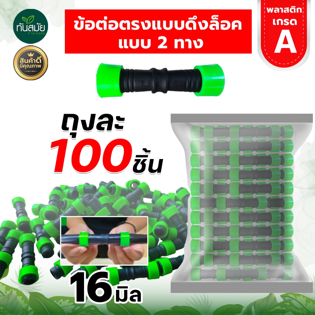 รูปภาพ 5