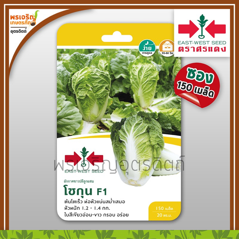 เมล็ดพันธุ์ผักกาด ผักกาดขาวปลี โชกุน F1 (แบบซอง) เมล็ดผักกาดขาว ผักกาดขาวปลีลูกผสม เมล็ดพันธุ์ผักสวนครัว ตราศรแดง