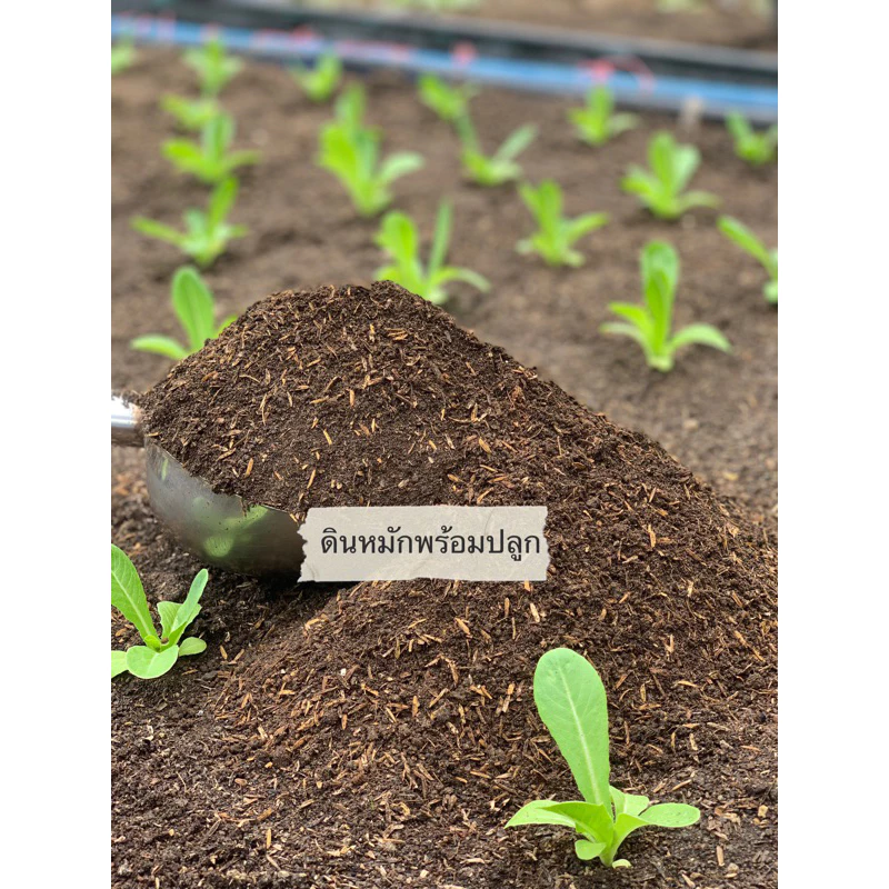 ดินหมักพร้อมปลูก สมารถปลูกพืชได้เลย ไม่ต้องเสียเวลาหมักเอง ขนาด10โล‼️ส่งฟรี‼️