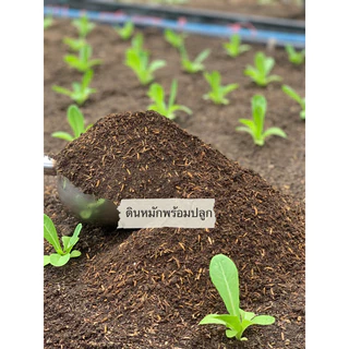 ดินหมักพร้อมปลูก สมารถปลูกพืชได้เลย ไม่ต้องเสียเวลาหมักเอง ขนาด10โล‼️ส่งฟรี‼️