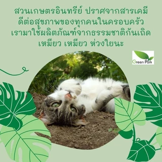 สารจับใบ จากธรรมชาติ ขนาด 1 ลิตร เสริมประสิทธิภาพ ดูดซึม ภูมิต้านทาน ยาจับใบ ปุ๋ย ยา น้ำหมัก ชีวภาพ