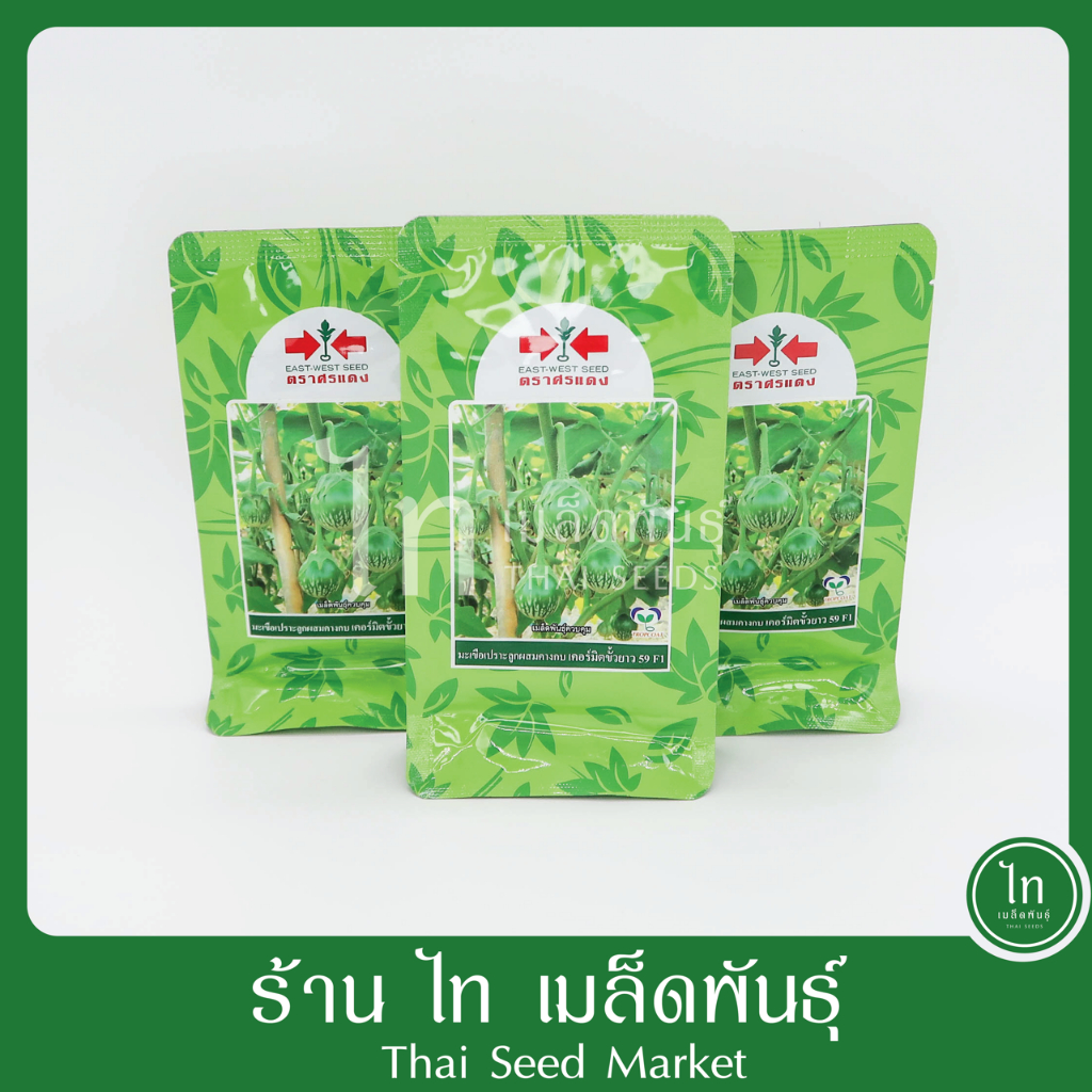 มะเขือเปราะ คางกบ เคอร์มิต ขั้วยาว 59 F1 เคอมิต เมล็ดพันธุ์ มะเขือ คางกบ ขั้วยาว ลูกผสม ตรา ศรแดง บรรจุ 20 กรัม