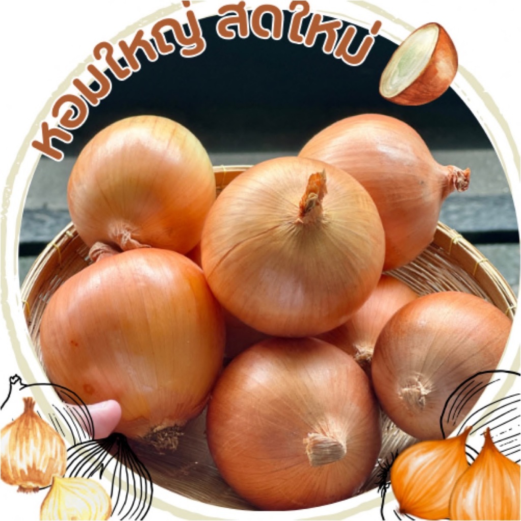 หอมหัวใหญ่ เนื้อขาว สะอาด สดใหม่ คัดสรรอย่างดี👍🏻 ขนาด 500g และ 1kg