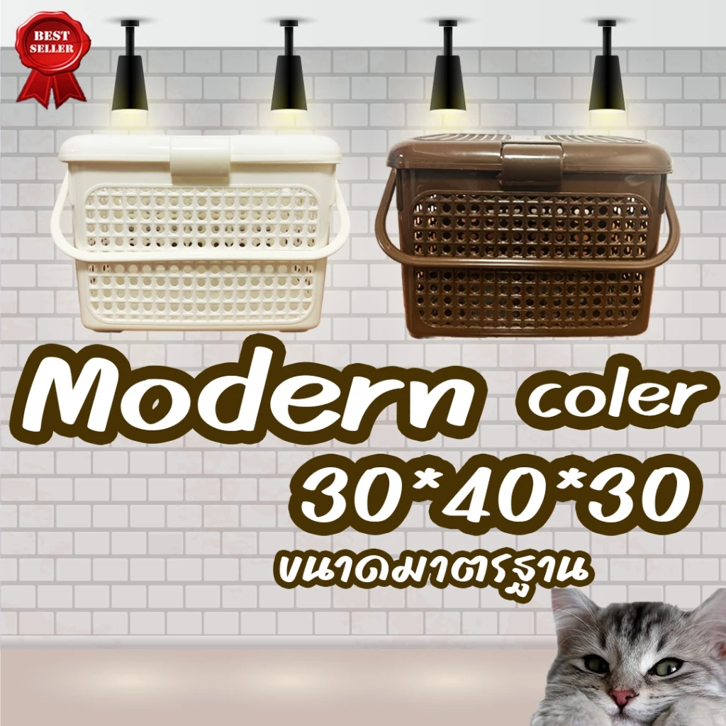 ตะกร้าพลาสติกอเนกประสงค์ เตรียมคลอดหรือใส่สัตว์ แมว,สุนัข สีพาสเทลมีฝาล็อคมีรูมีหูหิ้ว thumbnail 3