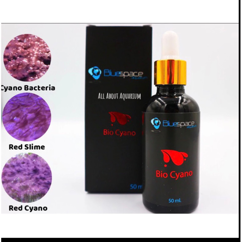 Blue space Bio Cyano เป็นแบคทีเรียสำหรับมากำจัดตะใคร่แดงโดยตรง ปลอดภัยต่อสิ่งมีชีวิตทุกชนิด ขนาดง50 ml.