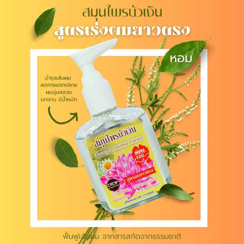 ‼️ถูกที่สุด‼️รวมทุกสูตร สมุนไพรบัวเงิน แฮร์โค้ท บำรุงผม/สูตรดั้งเดิม/ผมทำสี/ผมยาวตรง/ผมแห้งแตกปลาย/ผมขาดหลุดร่วง/ผมดกดำ - รูปที่ 3