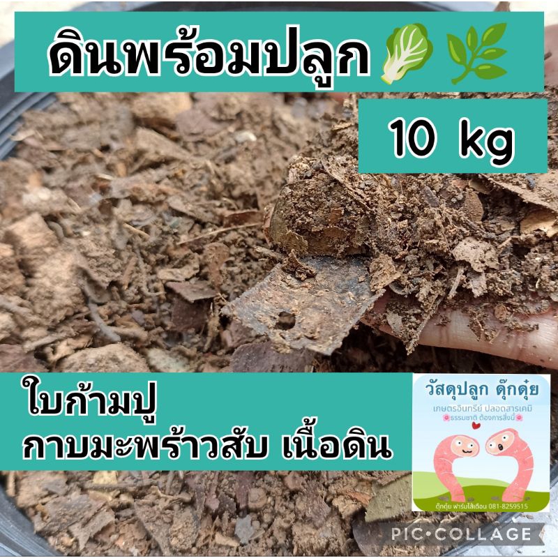 ดินพร้อมปลูก ใบก้ามปู 🍈🌸🌿🥬 10 กิโลกรัม