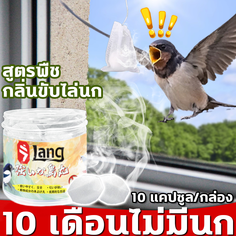 10000เมตรไม่มีนก ก้อนไล่นกพิราบ ที่ไล่นกพิราบ ก้อนไล่นก การกำจัดที่มีประสิทธิภาพและยาวนาน ใช้ที่บ้านได้