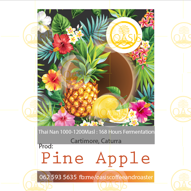 Oasis Coffee&Roaster Pineapple 168 hours Fermentation