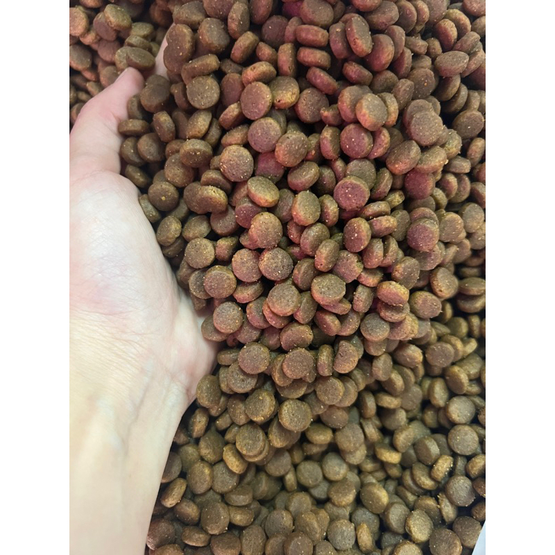 [3 กิโล] อาหารสุนัขฟาร์ม โปรตีนสูง32%เหมาะสำหรับสุนัขทุกสายพันธุ์และทุกช่วงวัย บำรุงผิวหนัง สร้างกล้ามเนื้อให้แข็งแรง