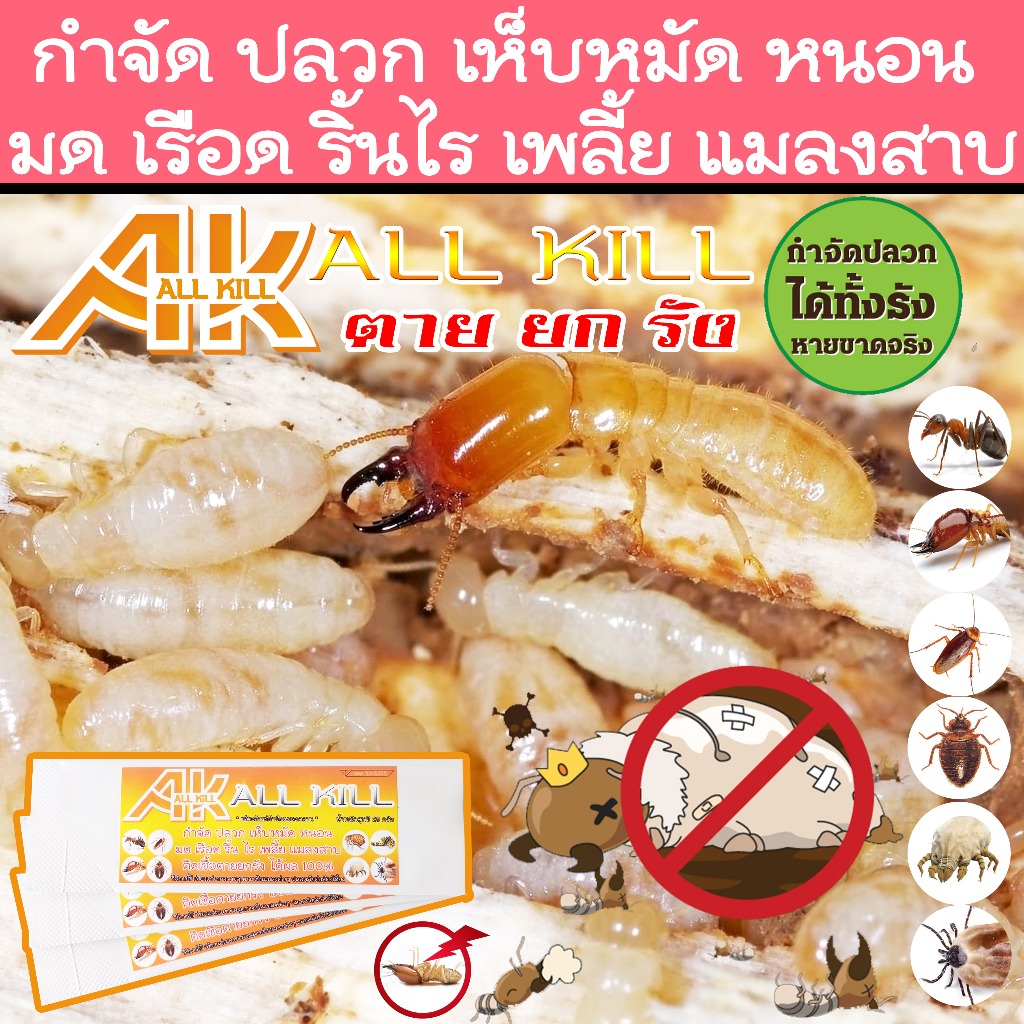 ยากำจัดปลวก ปลวกตายทั้งรัง ยาฆ่าปลวก ผงโรยฆ่าปลวก ฆ่ามดตายยกรัง ตัวเรือด ตัว ริ้น ไร เหา ยาฆ่ามด ฆ่าแมลงสาบ ได้ผล 100% ✅