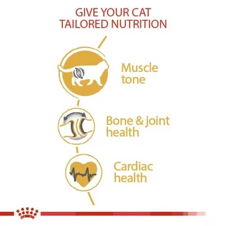 [แบ่งขาย]​ อาหารแมว Royal canin สูตร Britishบริติช 500g 800g 1kg