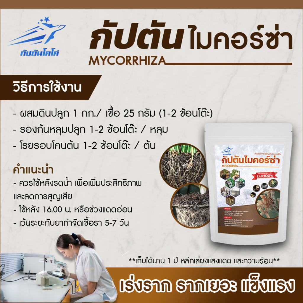 ไมคอร์ไรซ่า ช่วยเร่งราก ช่วยการเจริญเติบโต เพาะเชื้อจากห้อง LAB พร้อมใช้ ปลอดภัยต่อสัตว์และคน 100%
