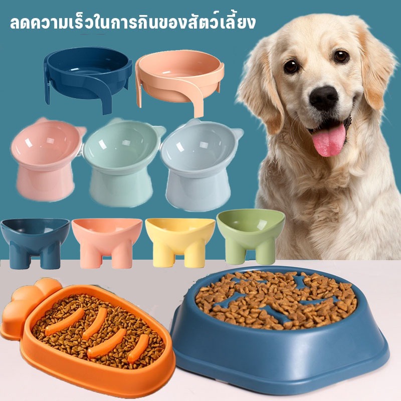 COD🐶ชามอาหารสัตว์เลี้ยง ชามอาหารหมา มีขอบยางกันลื่น