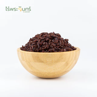 ข้าวไรซ์เบอร์รี่ 5Kg คัดพิเศษ ปลอดสาร ไม่ใช้สารกันมอด แบรนด์ไร่พระจันทร์ Riceberry ข้าว ไรซ์เบอรี่ ไรซ์เบอร์รี่