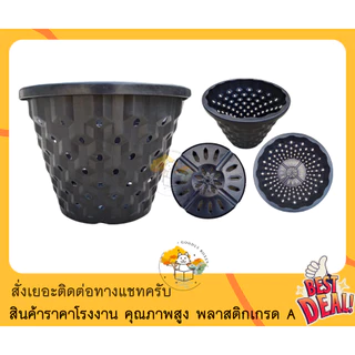 (แพ็ค10ใบ) กระถางเร่งราก AIRPOT ขนาด 12 นิ้ว ลายสับปะรด (มีส่วนลดและของแถม) กระถางแอร์พอตพลาสติก เร่งราก