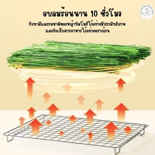 CBRF หญ้ากระต่าย หญ้าทิโมธีอบลมร้อน Super Premium Timothy Grass 1Kg. หญ้าทิมโมธี(กล่องน้ำตาล)