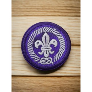 โลโก้ลูกเสือโลกปัก มีกาวรีดติดได้เลย