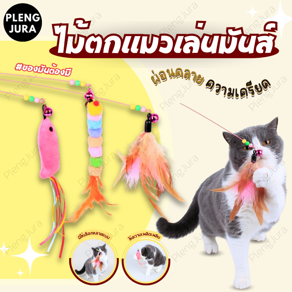 ไม้ตกแมว ไม้แมว ยาวสุด ของเล่นแมว แบบสปริง ไม้ล่อแมว แบบลวดสลิง