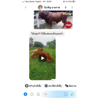 เทพบุตรโปรพลัส1ถุง (1กิโลกรัม)
